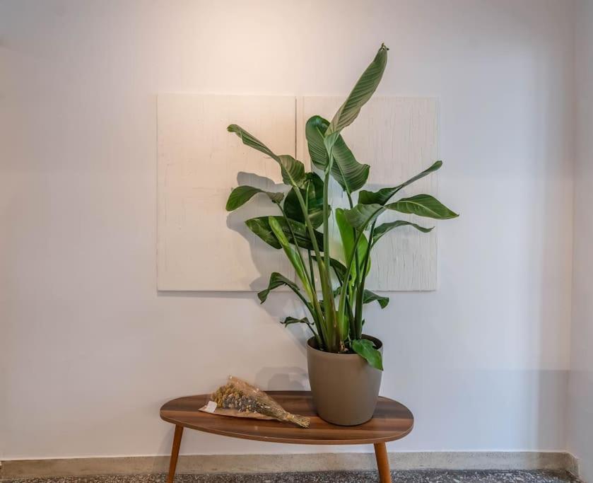 Botanical Apartment Athens Luaran gambar