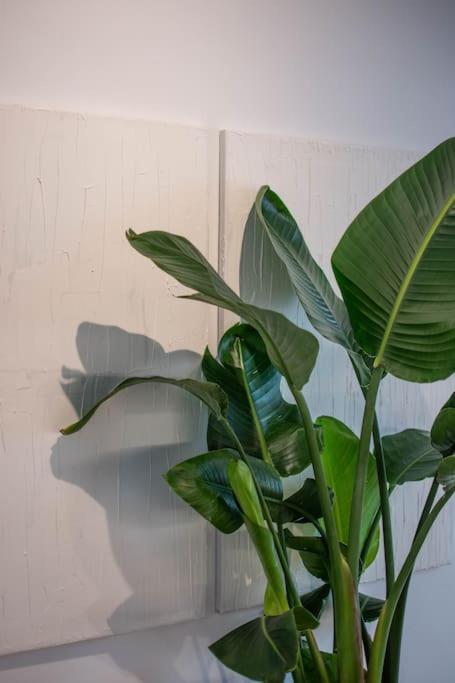 Botanical Apartment Athens Luaran gambar